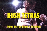 Bush Tetras - 'Things That Go Boom In The Night'