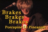 BrakesBrakesBrakes - Porcupine Or Pineapple