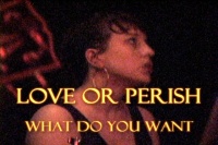 Love Or Perish - What Do You Want